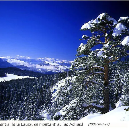 Bel 3* Plein Sud A Chamrousse, Avec Terrasse Et Animaux Acceptes - Fr-1-549-92 Chamrousse